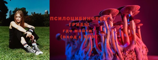 прущий лед Белокуриха
