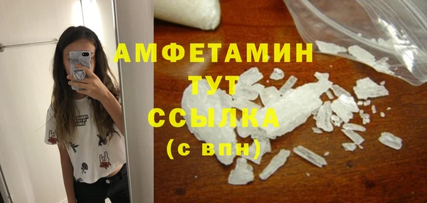прущие грибы Беломорск