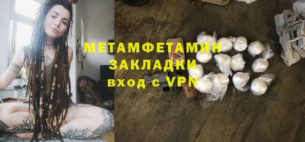 прущие грибы Беломорск