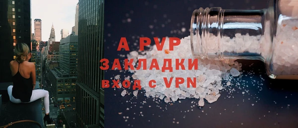 прущие грибы Беломорск