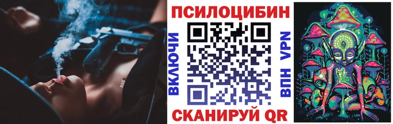 Псилоцибиновые грибы мицелий  Котовск 